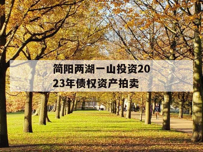 简阳两湖一山投资2023年债权资产拍卖