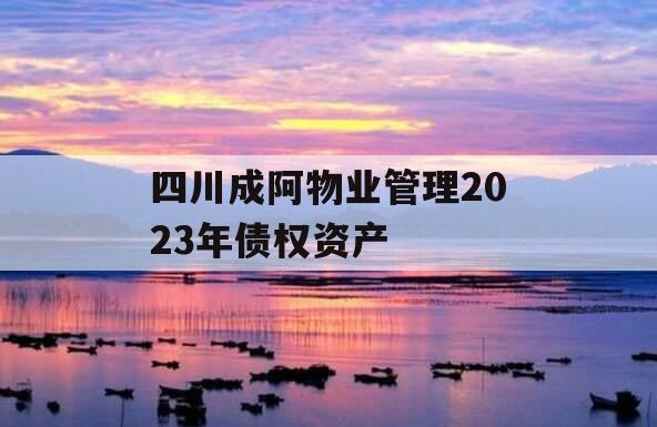 四川成阿物业管理2023年债权资产