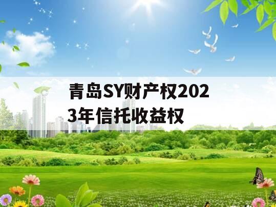 青岛SY财产权2023年信托收益权