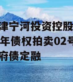 天津宁河投资控股2023年债权拍卖02号政府债定融