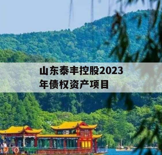 山东泰丰控股2023年债权资产项目