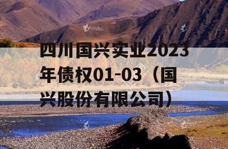 四川国兴实业2023年债权01-03（国兴股份有限公司）