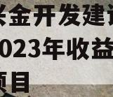 金堂兴金开发建设投资债权2023年收益权转让项目