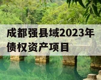 成都强县域2023年债权资产项目