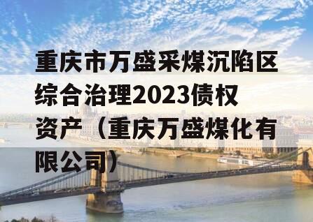 重庆市万盛采煤沉陷区综合治理2023债权资产（重庆万盛煤化有限公司）