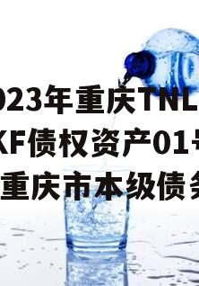 2023年重庆TNLYKF债权资产01号（重庆市本级债务）