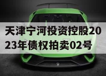 天津宁河投资控股2023年债权拍卖02号