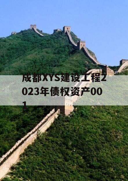 成都XYS建设工程2023年债权资产001