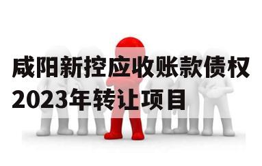 咸阳新控应收账款债权2023年转让项目