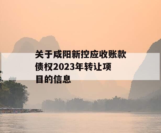 关于咸阳新控应收账款债权2023年转让项目的信息