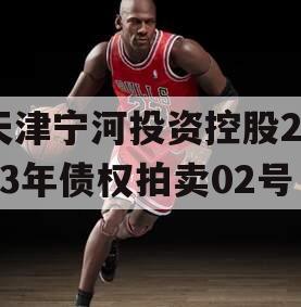 天津宁河投资控股2023年债权拍卖02号