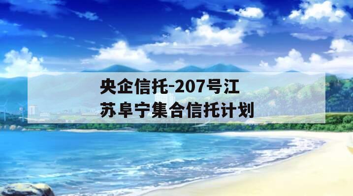 央企信托-207号江苏阜宁集合信托计划