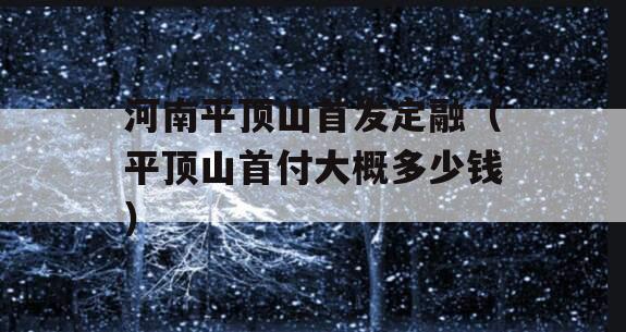 河南平顶山首发定融（平顶山首付大概多少钱）