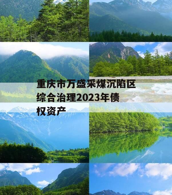 重庆市万盛采煤沉陷区综合治理2023年债权资产