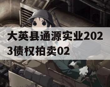 大英县通源实业2023债权拍卖02