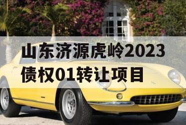 山东济源虎岭2023债权01转让项目