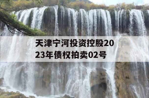 天津宁河投资控股2023年债权拍卖02号