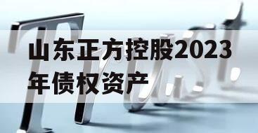 山东正方控股2023年债权资产