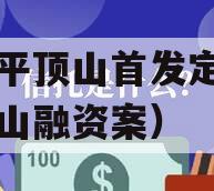 河南平顶山首发定融（平顶山融资案）