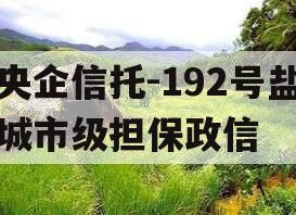 央企信托-192号盐城市级担保政信