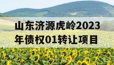 山东济源虎岭2023年债权01转让项目