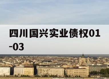 四川国兴实业债权01-03