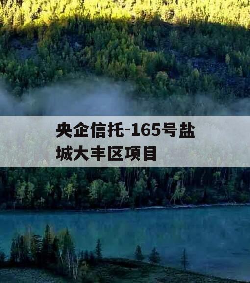 央企信托-165号盐城大丰区项目