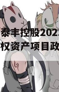 山东泰丰控股2023年债权资产项目政府债定融