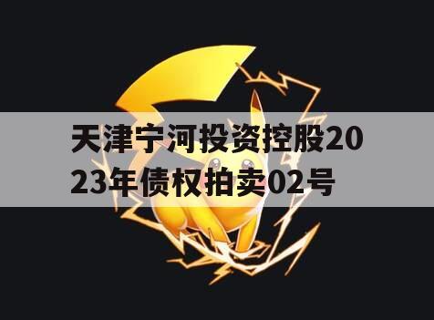 天津宁河投资控股2023年债权拍卖02号