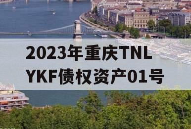 2023年重庆TNLYKF债权资产01号