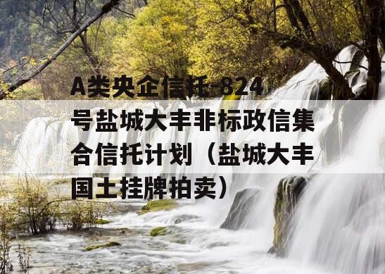 A类央企信托-824号盐城大丰非标政信集合信托计划（盐城大丰国土挂牌拍卖）