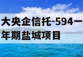 大央企信托-594一年期盐城项目