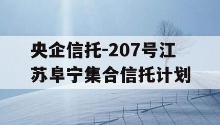 央企信托-207号江苏阜宁集合信托计划