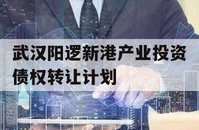 武汉阳逻新港产业投资债权转让计划