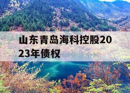 山东青岛海科控股2023年债权