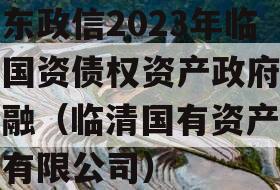 山东政信2023年临清国资债权资产政府债定融（临清国有资产管理有限公司）