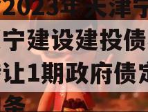 包含2023年天津宁河兴宁建设建投债权资产转让1期政府债定融的词条