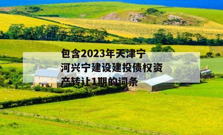 包含2023年天津宁河兴宁建设建投债权资产转让1期的词条