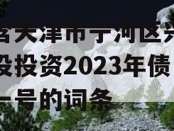 包含天津市宁河区兴宁建设投资2023年债权一号的词条