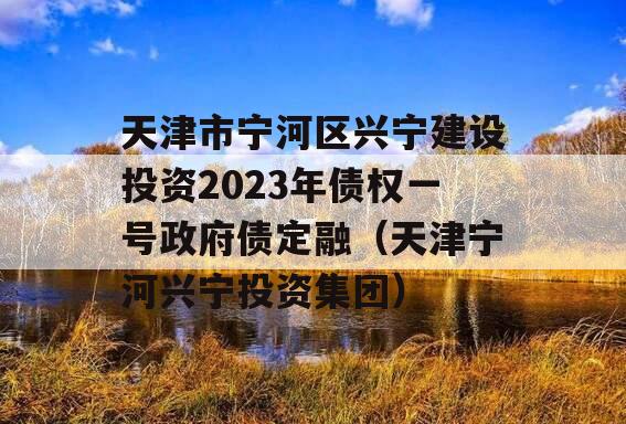 天津市宁河区兴宁建设投资2023年债权一号政府债定融（天津宁河兴宁投资集团）