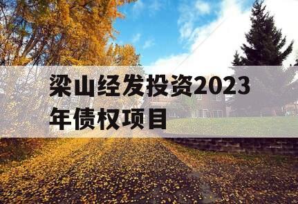 梁山经发投资2023年债权项目