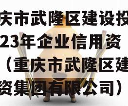 重庆市武隆区建设投资2023年企业信用资产（重庆市武隆区建设投资集团有限公司）