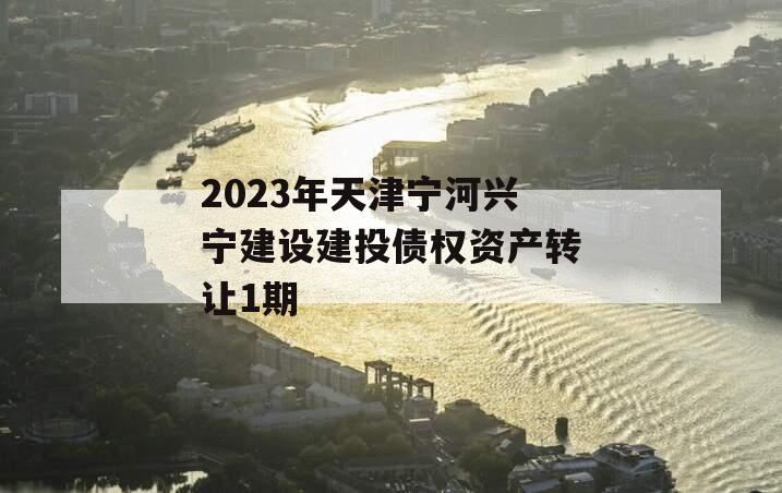 2023年天津宁河兴宁建设建投债权资产转让1期