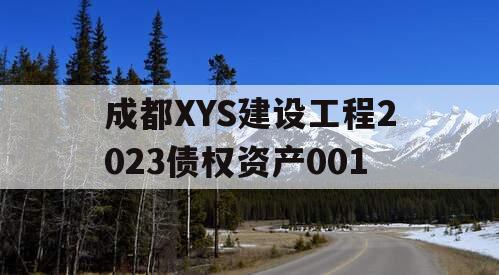 成都XYS建设工程2023债权资产001