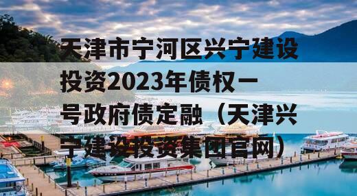 天津市宁河区兴宁建设投资2023年债权一号政府债定融（天津兴宁建设投资集团官网）