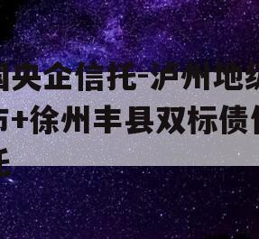 国央企信托-泸州地级市+徐州丰县双标债信托