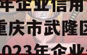 重庆市武隆区建设投资2023年企业信用资产（重庆市武隆区建设投资2023年企业信用资产评级）