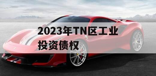 2023年TN区工业投资债权