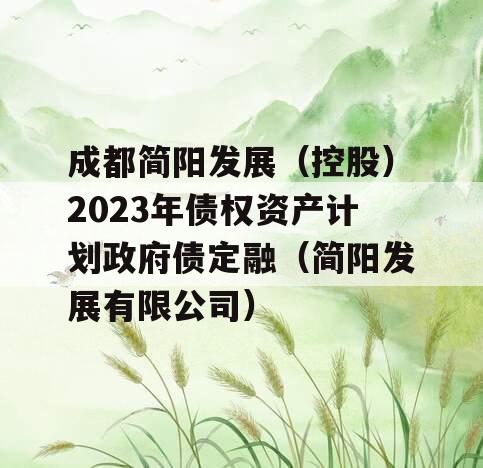 成都简阳发展（控股）2023年债权资产计划政府债定融（简阳发展有限公司）