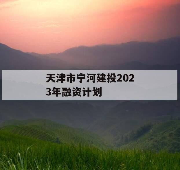 天津市宁河建投2023年融资计划